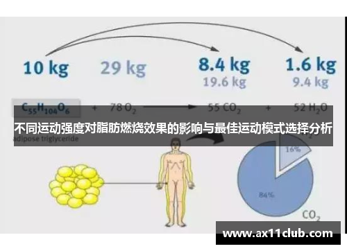 不同运动强度对脂肪燃烧效果的影响与最佳运动模式选择分析